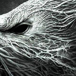 快速响应灵活的ddos攻击器安卓ios下载